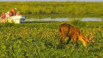 paquete a esteros del ibera con sumaj travel