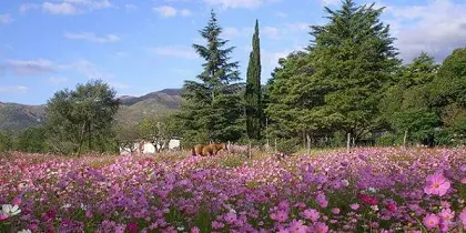 paquete a villa giardino con sumaj travel