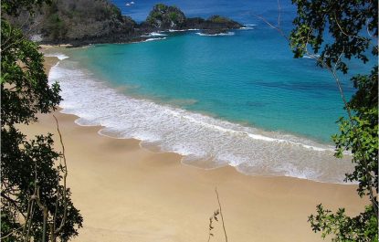 Paquete a Praia do Forte Brasil