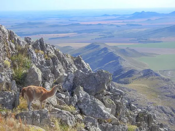paquete a sierra de la ventana
